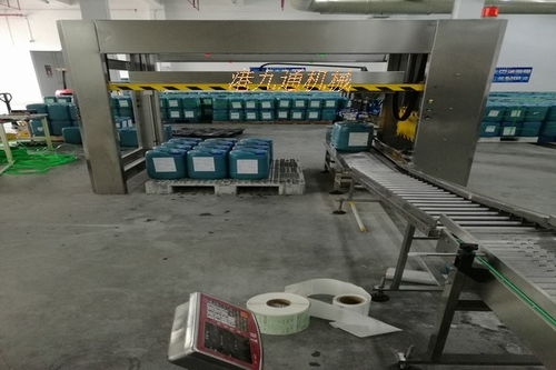 玛曲涂料码垛机生产线