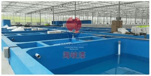 养殖漆营造优质水产品生产环境,赢得广泛认可